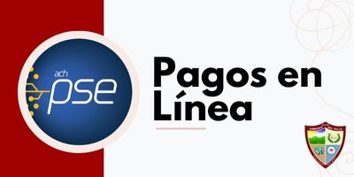 Pagos en linea